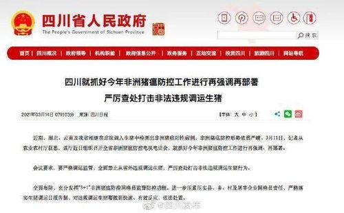 成都新闻爆料经济纠纷,揭秘背后真相与法律博弈