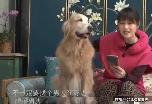 狗子爆料周姓女星视频,周姓女星私密视频引发热议